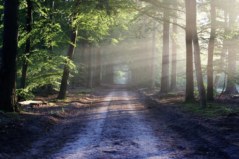 Discover new trails